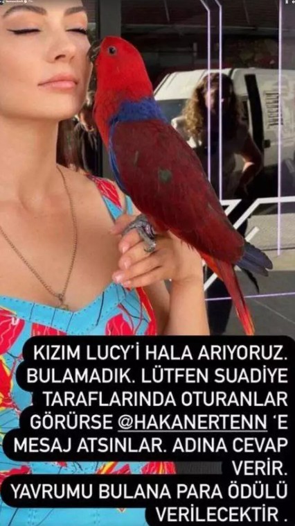 Burcu Özberk papağanına kavuştu!